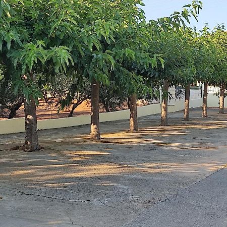 Hotel Takis Agios Georgios  Dış mekan fotoğraf