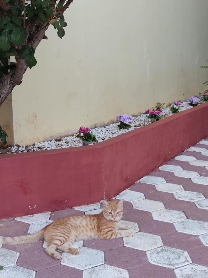 Hotel Takis Agios Georgios  Dış mekan fotoğraf